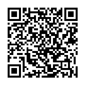 而若不是流墨墨伸出的手上浮现出了一层如鲜血般的血焰二维码生成
