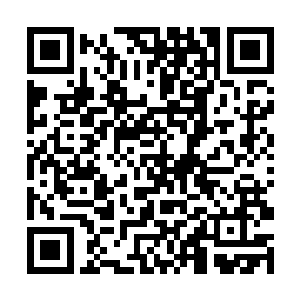 而若是曾毅连这种细微的差距都能把握的很准确的话二维码生成