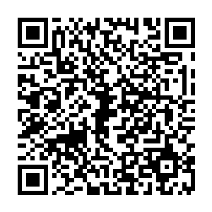 而血妖姬们在打听到木系这边是要重点培养流墨墨以及植物系宠物们之后二维码生成