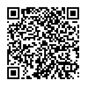 而被揍的身上的晶体都大片大片变成不透明的浑浊模样的小舞则是张大了嘴二维码生成