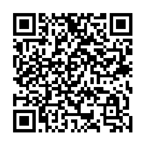 而被格里斯轰出去的巨龙此时心中也是忍受着巨大的痛苦二维码生成