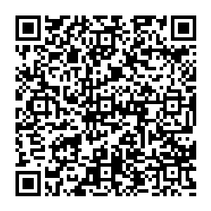 而被风清扬一手提拔的散修张奎　浑身也是血迹　他面色狰狞　看着身前不足一米的潇洒男子　眼里全是仇恨二维码生成