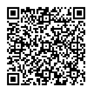 而让叶尊颇感有趣的是在那五头体型巨大的飞行妖兽身上居然耸立起五座巨大的房子二维码生成