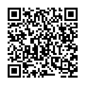 而让宋大成意外的则是过了桐柏镇之后就看到了硕大的两块牌子二维码生成
