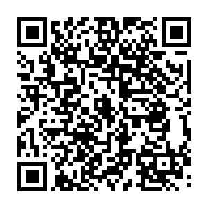 而诸多修士之所以会顶着百分之十的巨额手续费也愿意在拍卖会上竞拍或者拍卖二维码生成