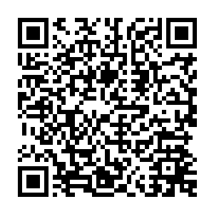而起此刻这一大群的灵母就如一个个不怕死的勇士一般朝着我们冲撞而来……二维码生成