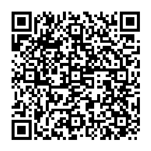 而这一次好死不死的另外一条手臂刚才一个不注意竟然再一次被狠狠的砸到了地上二维码生成