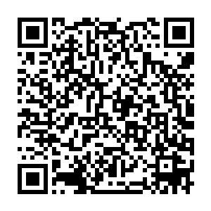而这一点从水晶之灵从原本的站姿变成了现在没有安全感的卷缩姿态二维码生成