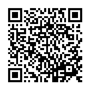 而这两座立交的简称也昭示着宋州一环线西段和南段建成通车二维码生成