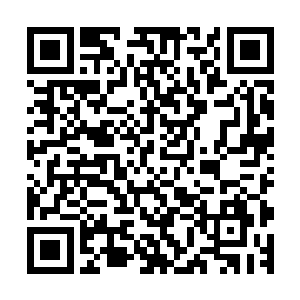 而这两种字体无疑是既具有创新而又最符合当代人审美的成果二维码生成