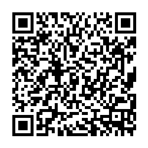 而这个程序的部位……显然是小卢克从某个残破的芭比娃娃的身上拆下来的二维码生成