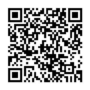 而这个芯族却是可以自由的在单细胞和自我融合中转换二维码生成
