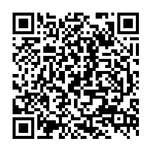 而这中火爆场景同样也对周邻的中药材种植户们产生了巨大的刺激二维码生成