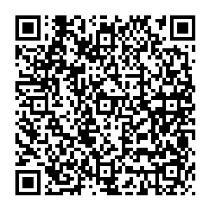 而这乌沉木所做的船筏 在水中漂浮 罕见的沒有被若水吞噬 更重要的是 就好似在真正的水面一般二维码生成