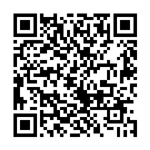 而这也是五大家族甚至是其他家族不敢随意揪出卧底的原因二维码生成
