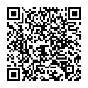 而这些东西经过几万年甚至上百万年的变化早就变得无比诡异与可怕二维码生成