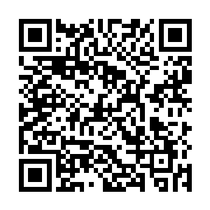 而这些组长在平时和组里的人比试的时候也不在乎输赢二维码生成