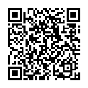 而这件在炼骨族后期制作的破空门使用了大量破空兽的骨头二维码生成