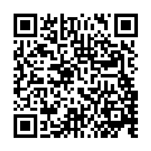而这会儿在一旁一直处于呆滞状态的一枝花总算是回过神来二维码生成