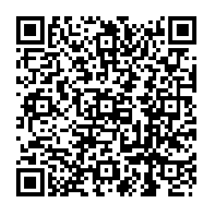 而这位……刚才居然能在海面上行走的家伙居然也是一样的暴力……活撕人的耳朵二维码生成