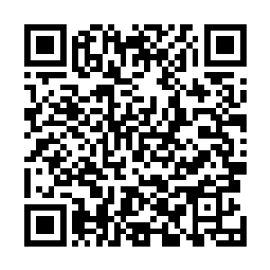 而这位族巫在鬣族的地位也不如其他部族中族巫的地位高二维码生成