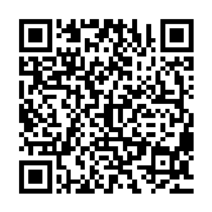 而这位西宁侯夫人的陪嫁管事却变成张达的模样出现在槐树村二维码生成