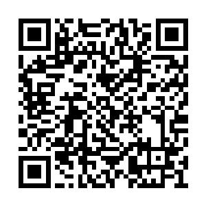 而这宽敞的巨大宫殿住宅早就如同空空荡荡的了二维码生成