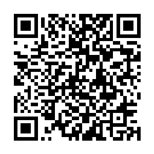 而这并不是对于全世界房地产事业产生巨大打击的根本原因二维码生成