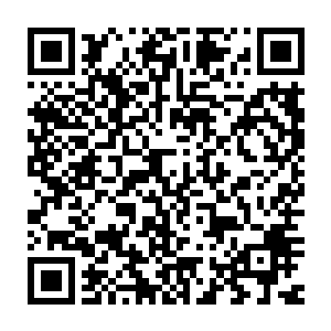 而这时候张局长则是给两人一人递过来了一份有关案件描述的文档二维码生成
