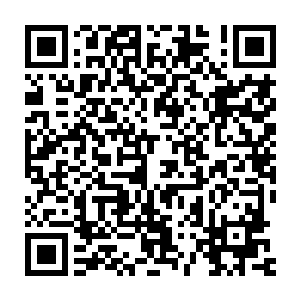 而这次倒在地上的弟子可不像上次心道单人独剑闯内门揽月峰那样二维码生成