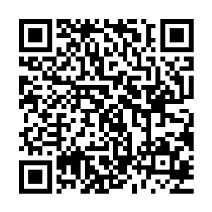而这次所有人汇集明珠也是为了制定一个详细的方案来寻找苏凡二维码生成