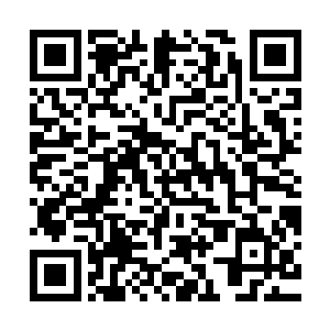 而这次找的车夫是小宝和小熊在他们帮助的人中千挑万选出来的二维码生成