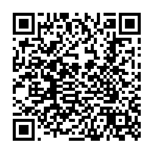 而这种嫁接在封建帝国肢体上的后现代主义他必定会表现出封建的等级二维码生成