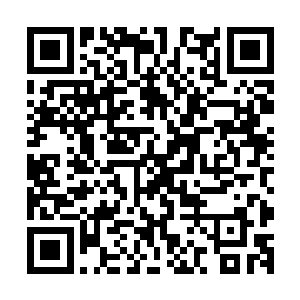 而这里的实验室大门基本上全都是厚度在半尺以上的金属构成二维码生成