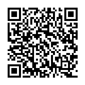 而连接动作是双手擒住长枪在地面来了个标准的持枪前滚翻二维码生成