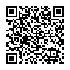 而迟迟没有到达的天道大军也没有给他们造成任何的怀疑二维码生成