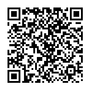 而透过层层叠叠完全是白色密林的缝隙中能清晰的透过本源看到树心的模样二维码生成