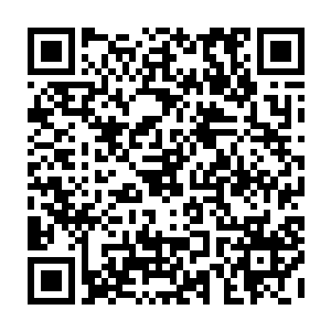 而那些从树枝上传过来的树筋有些已经从从不同的地方插进了我的身体里二维码生成