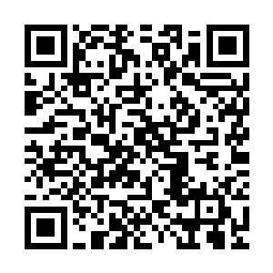 而那些总是一成不变的让海豚跳圈让海狮顶皮球千篇一律的表演二维码生成