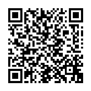 而那些木棒和木棍都是由硬度并不是太高的龙眼木和白腊木制成二维码生成