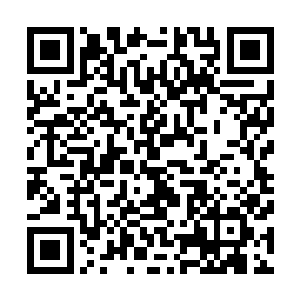 而那些混沌兽似乎也都曾经不止一次撞击过这里的防御护罩二维码生成