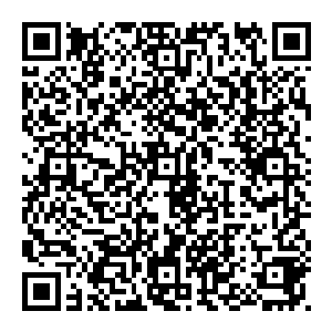 而那些被打入修罗世界沦为奴隶的修士则在神榜的推动下不停的卖力顶起四大真界可谓是循环往复周而复始生生不息二维码生成