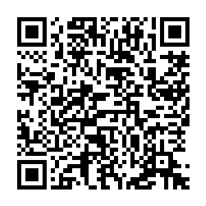 而那些被画出的轮廓……俨然就是他们一路上所通过的每一个空间二维码生成