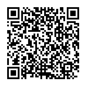 而那亡灵族神灵也在妖族神灵的濒死反击之下被打碎了神国和神体二维码生成
