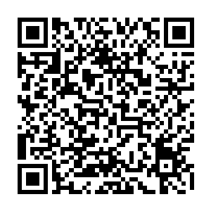 而那位先前说要亲自收秦宇为徒的长老在秦宇拒绝了之后也是给出了一块玉佩二维码生成
