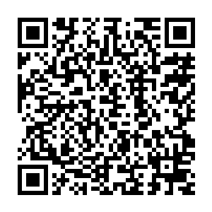而那位稍微大点的小鬼却是一路注意着那些年纪和他们差不多的小鬼二维码生成