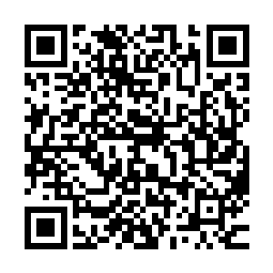 而那列狂的二十多位魔王手下满怀期待的目光却变得难以置信二维码生成