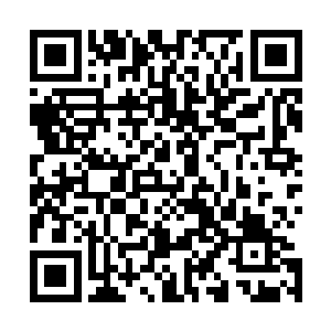 而那到浮现的虚影则是将暗护法的身体给一把死死的抓住了二维码生成