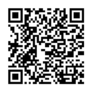 而那卷着魔血教弟子往回拖去的长叶也抵挡不住这魔血丝的攻击二维码生成