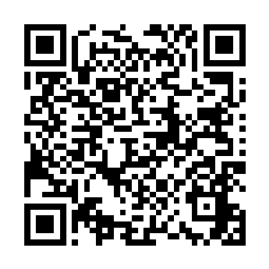 而那双满是惊愕和不甘的双目此刻一直停留在我的眼前二维码生成
